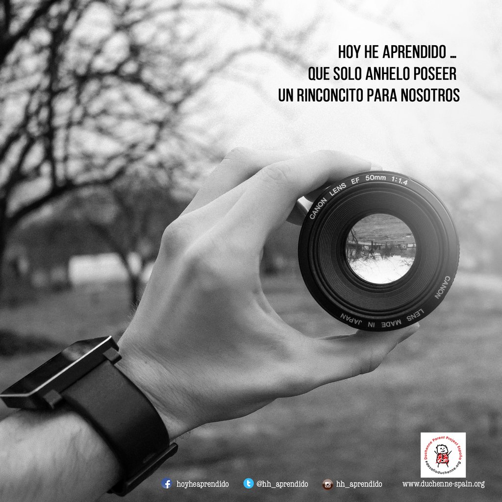 hh_aprendido's tweet photo. Solo anhelo poseer un rinconcito para nosotros
.
.
.
.
.
#sitegustasigueme #duchenne #desafioduchenne #hoyheaprendido #frasedeldia #dmd #musculardystrophy #nonprofit #reflexiones #phraseoftheday #frases https://t.co/QD8lnmLvr5