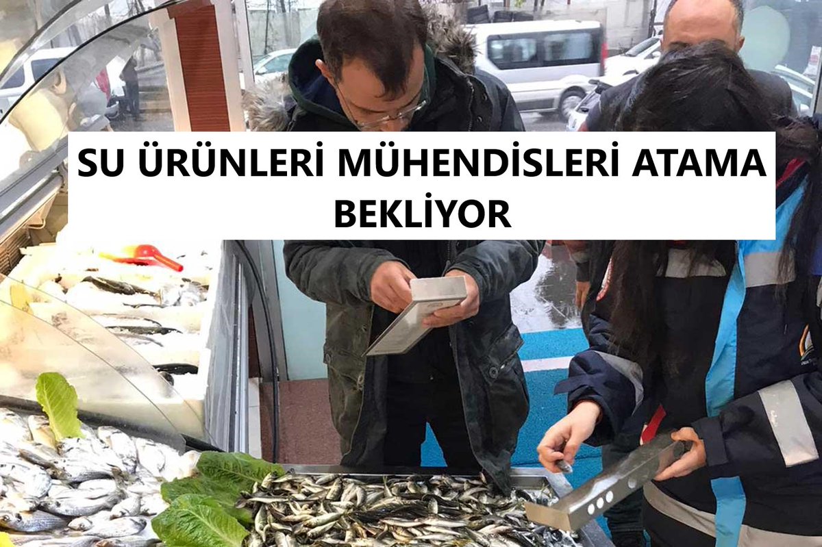 crdk_mrym's tweet photo. @VahitKirisci @RTErdogan Sn.Bakanim 2 yıldır @TCTarim Atamaları yapılmıyor Çok düşük sayılarla atamayı kabul etmiyoruz Su ürünleri muhendisleri olarak sayımız geçen atamada 101den 88e düşürüldü bu atama da bu mağduriyeti yaşamak istemiyorz🙏
#SuUrunleriMuhAtamaBekliyor
@ademdinc_
@maatalay @fatihmetintr https://t.co/QpSL5aQzEl