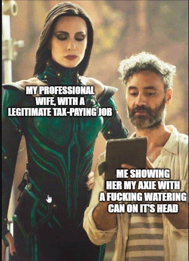 Me showing my gf Axie:Origin