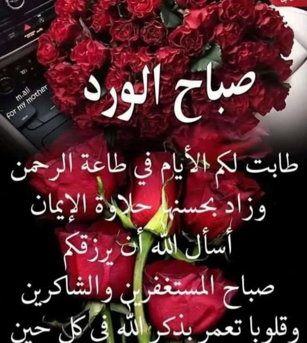 fd679's tweet photo. صباح الورد 🌹🌹🌹🌹 https://t.co/rC62XpAaua