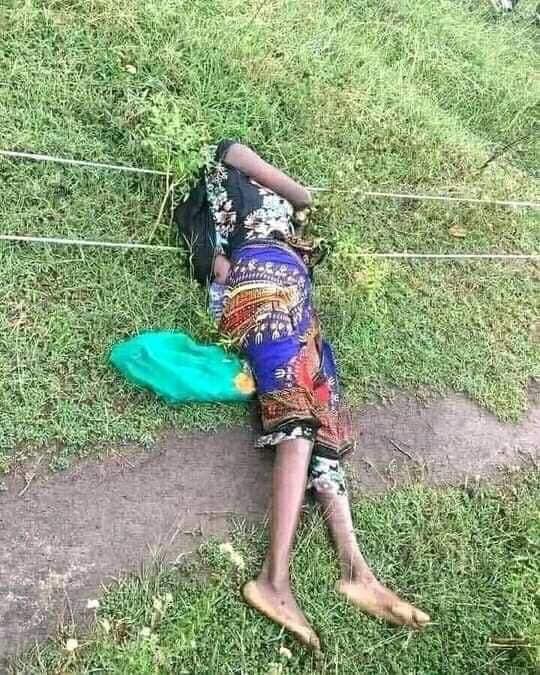 g_qaaccessa's tweet photo. #Gaddisiisa

Haatii daa'imaa Jireenya isheetif jette osoo daa'ima ishee baattee bosona keessa deemtu muukti ifaa(Pooliin) irratti kufuun shiboo elektirikaan qabamuun battalumatti daa'imaa fi haadha walirratti ajjeesee jira. Haadha akkana taatu arguun baay'ee nama gaddisiisa. https://t.co/IQnnSiTbd5