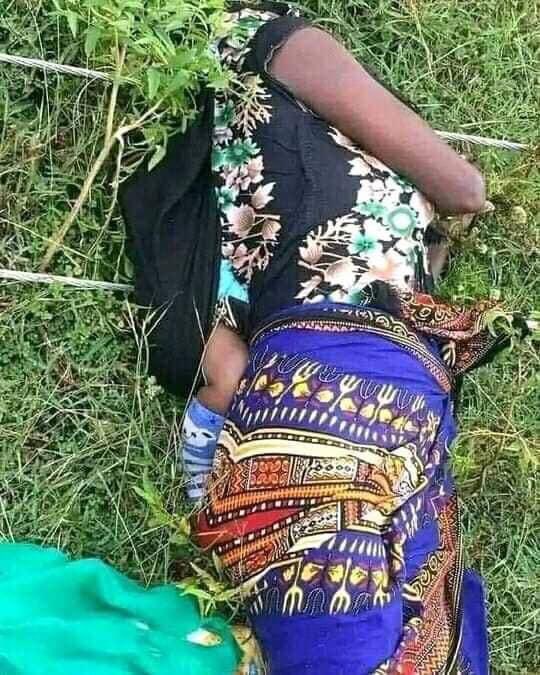 g_qaaccessa's tweet photo. #Gaddisiisa

Haatii daa'imaa Jireenya isheetif jette osoo daa'ima ishee baattee bosona keessa deemtu muukti ifaa(Pooliin) irratti kufuun shiboo elektirikaan qabamuun battalumatti daa'imaa fi haadha walirratti ajjeesee jira. Haadha akkana taatu arguun baay'ee nama gaddisiisa. https://t.co/IQnnSiTbd5