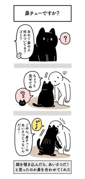 サービス精神おう盛な猫 飼い主がゴミを取ろうとすると? https://t.co/8MSihcGwBW @grapeejpより 