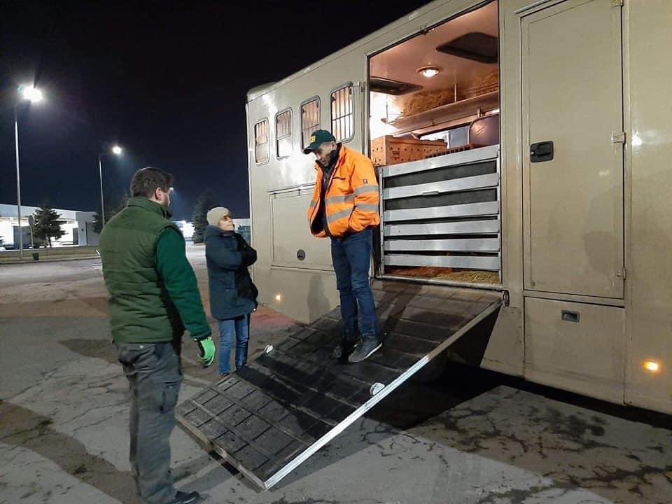 goRubenRuben's tweet photo. Lions Tigers Ukraine Kyiv Zoo moved successfully and on way to Poznan Poland 🇵🇱 #Ukraine #CatsofTwittter #ukraineZoo https://t.co/Ngt6oWWocL