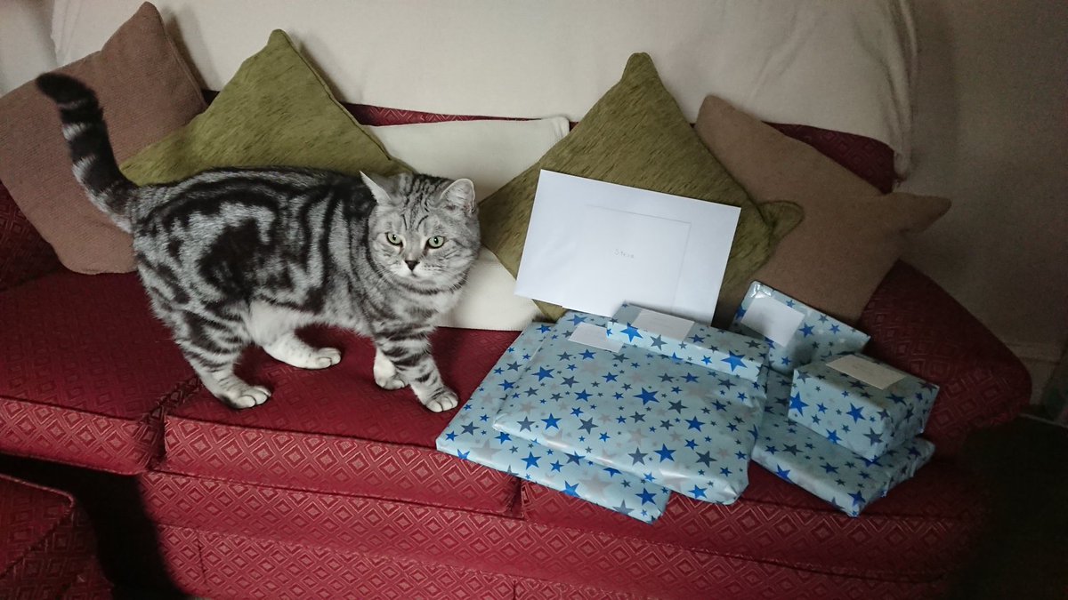 alfiecatuk's tweet photo. It's Dad's Birthday today Pal's...🎉 🎉 🎉..not going to say how old he is..."Whispers"..but he is quite old though..😹 😹..Me and my Sis Jasmine @ozziecat1 bought him this book..😹...Have a fun #catboxsunday friends.. 💕 https://t.co/mE486Q2drx