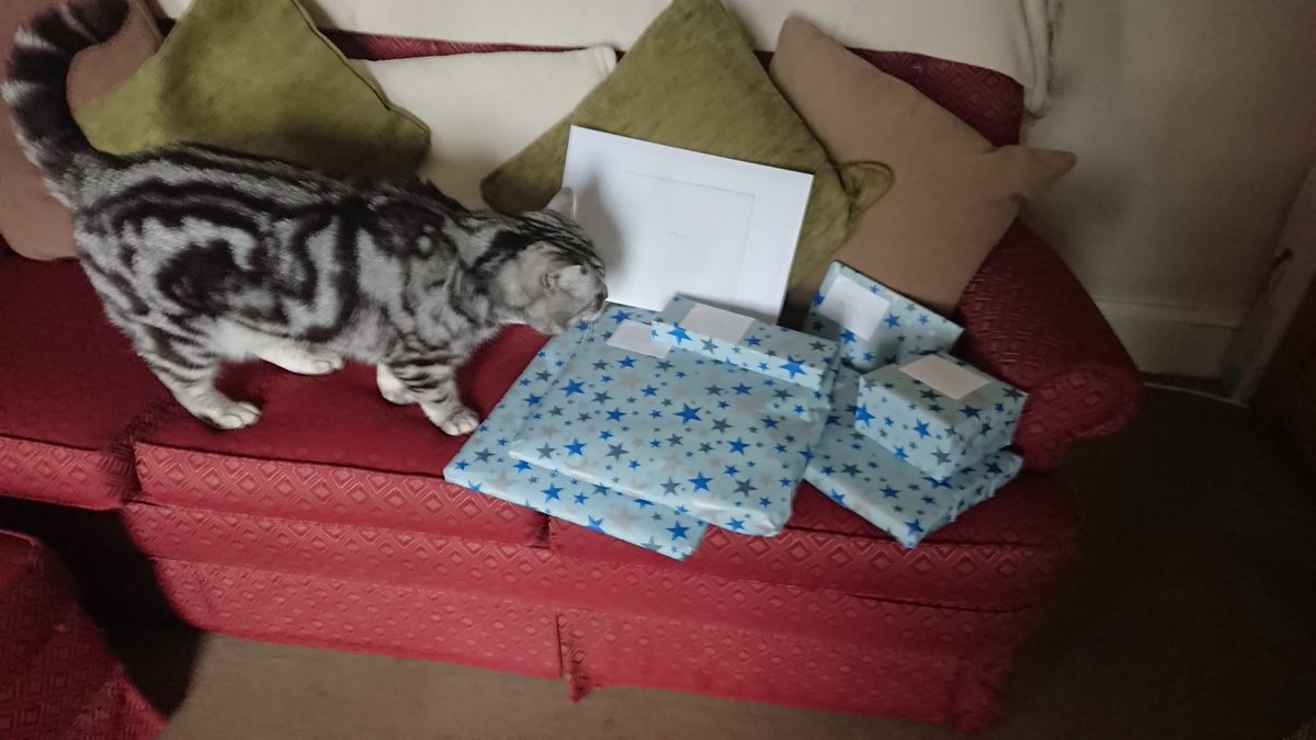 alfiecatuk's tweet photo. It's Dad's Birthday today Pal's...🎉 🎉 🎉..not going to say how old he is..."Whispers"..but he is quite old though..😹 😹..Me and my Sis Jasmine @ozziecat1 bought him this book..😹...Have a fun #catboxsunday friends.. 💕 https://t.co/mE486Q2drx