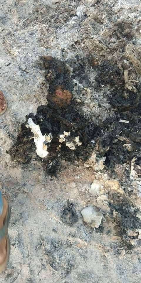 Treza992's tweet photo. Military troops who had left from Moekaung village stormed all the residential properties along the way towards north point and shot at a 14 yo child on Mar 3. 2 dead bodies were found among the ashes. #2022Mar6Coup #WhatsHappeningInMyanmar https://t.co/5npPlUMLrP
