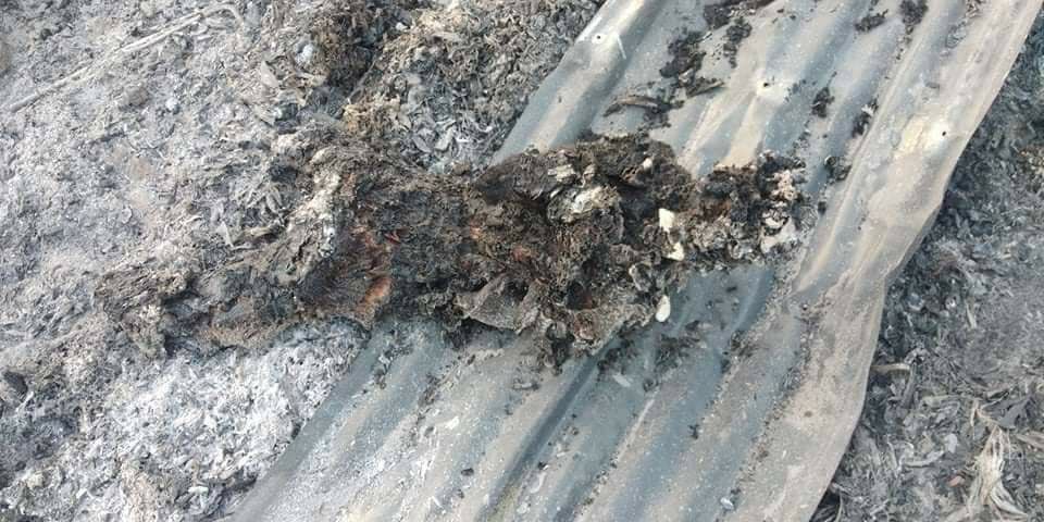 Treza992's tweet photo. Military troops who had left from Moekaung village stormed all the residential properties along the way towards north point and shot at a 14 yo child on Mar 3. 2 dead bodies were found among the ashes. #2022Mar6Coup #WhatsHappeningInMyanmar https://t.co/5npPlUMLrP