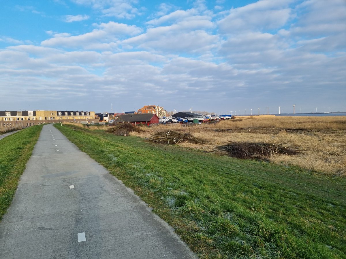 FerdinandBos's tweet photo. Anno 2022 wordt het uitzicht nog verkozen boven de natuur. Schaam je mensen van de Zuiderzee boulevard en @gembunschoten voor het verstrekken van de toestemming voor het kappen van de bomen. Vele vogels zijn nu dakloos. https://t.co/1yTjmhg1Qi