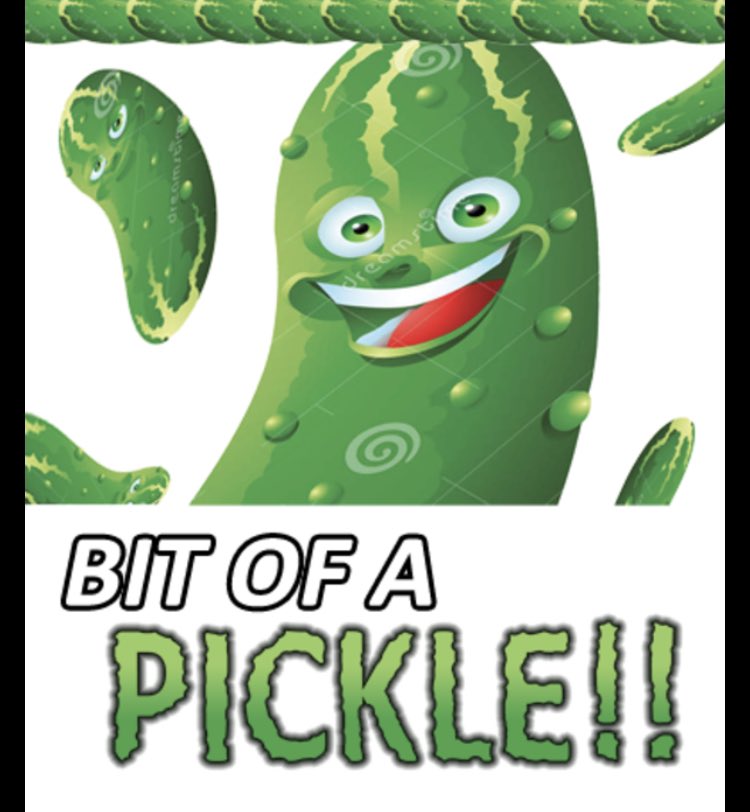 merseyview's tweet image. What a pickle the invading forces will find themselves in! Wonderful babusya army lock and loading pickle guns. #dontmesswithbabusyas #UkraineGrandmas #whatapickle #UkraineUnderAttaсk