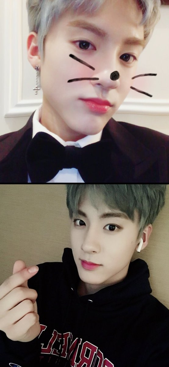 hisnameisbolt's tweet photo. 블루베리의극악무도한이중생활 https://t.co/N0qKfNT2yy