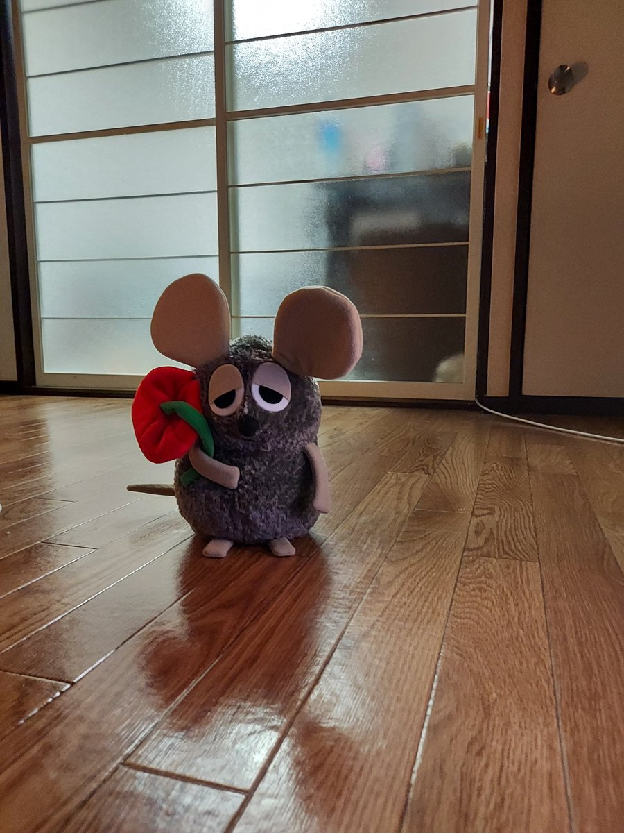onlyamiracle's tweet photo. くろちゃん！😢 https://t.co/oE6sKdqyTf