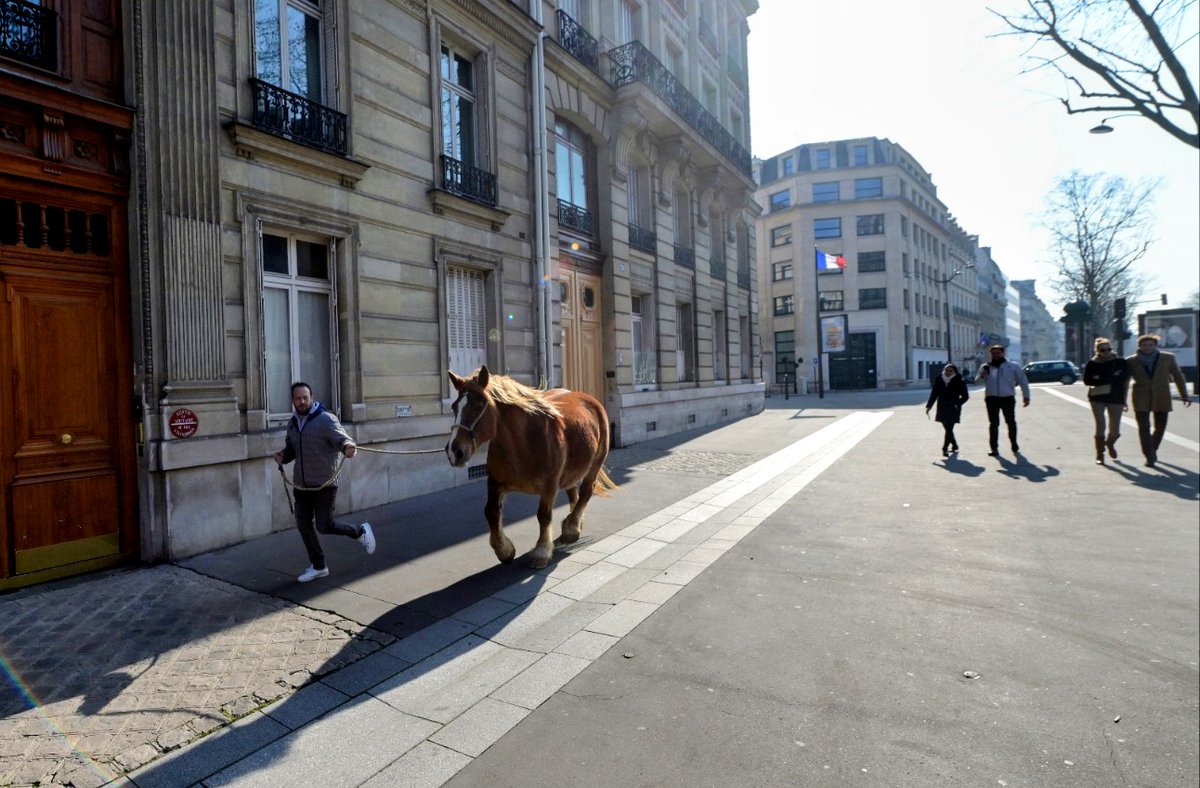 Quentin_TOP's tweet image. Un Béarnais à Paris.
Se dégourdir les pattes avant le défilé des #foliesbearnaise 
#Paris #champsélysées @BearnPyrenees @bayrou @tourismepau @SO_Pau