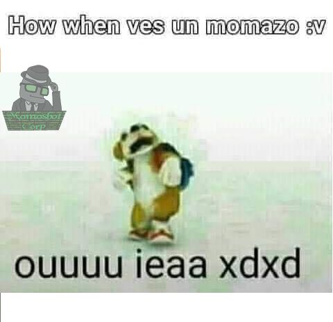 and more tweet media