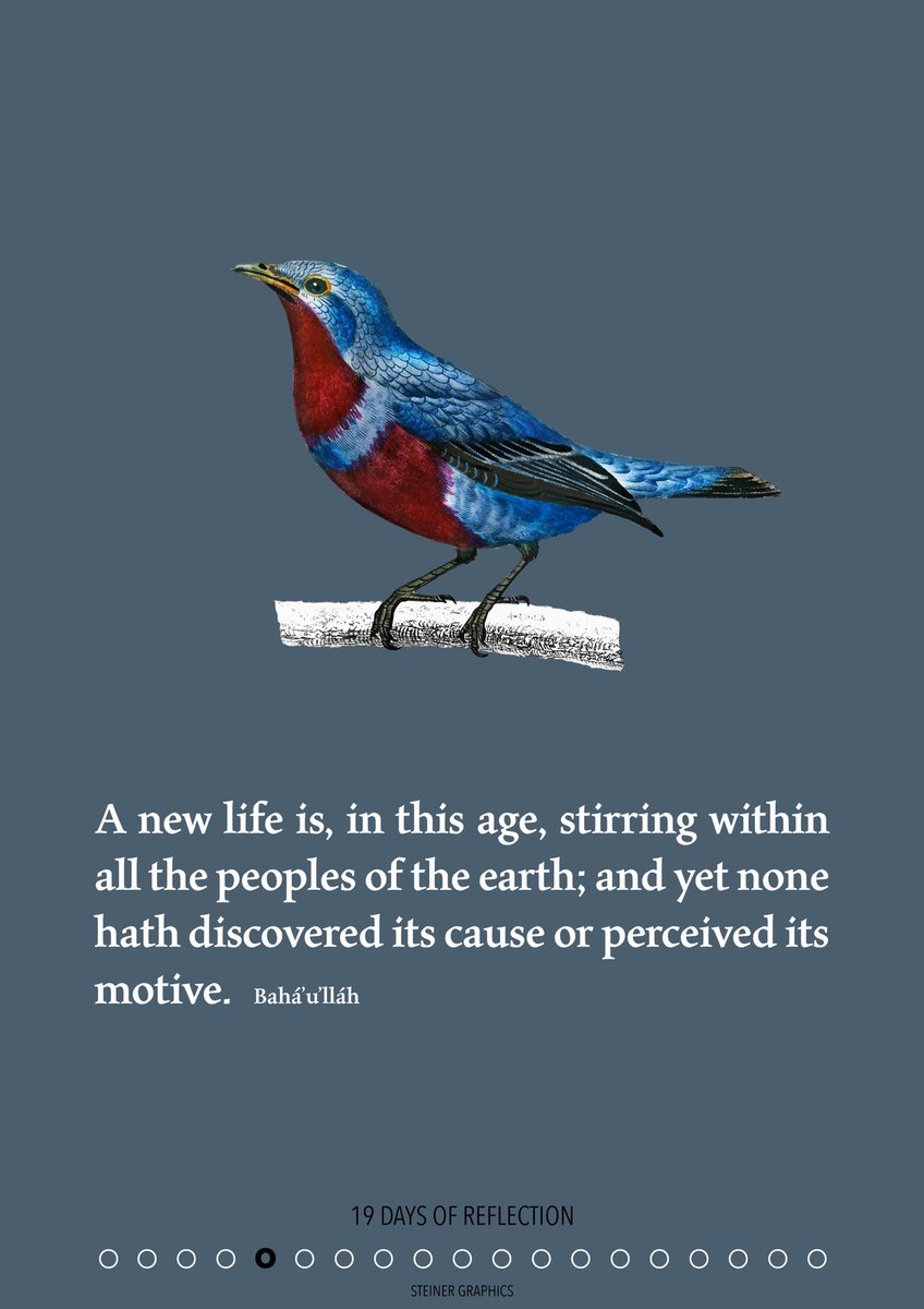 rvsteiner's tweet photo. 19 Days of Reflection
Day 05

#reflection #bahaifast #fasting #meditation https://t.co/0Bt6xUnwvM