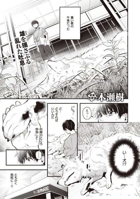 ✨本日のおすすめ✨
木瀬樹先生
《麦の恩返し》
WEEKLY快楽天 No.09 掲載

暑い夏の日に怪我をした犬を見つけ
元気になるまで面倒を見ることに🐕
その後保護施設に預けて一週間
見慣れぬ可愛い女の子が訪ねてきて...?❤️

続きはこちら▷  https://t.co/naPz7hJHdG 