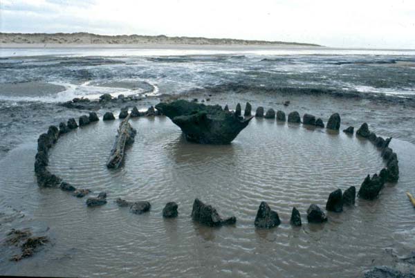 Lynn_Museum's tweet photo. Welcome to our first #SeahengeSunday!

Seahenge was given its name by the media, after the famous @EH_Stonehenge, when it was discovered in 1998. It’s a bit of a misnomer, as our Bronze Age timber circle is, in fact, neither a henge nor was it originally built by the sea! https://t.co/5v9oba9qeL