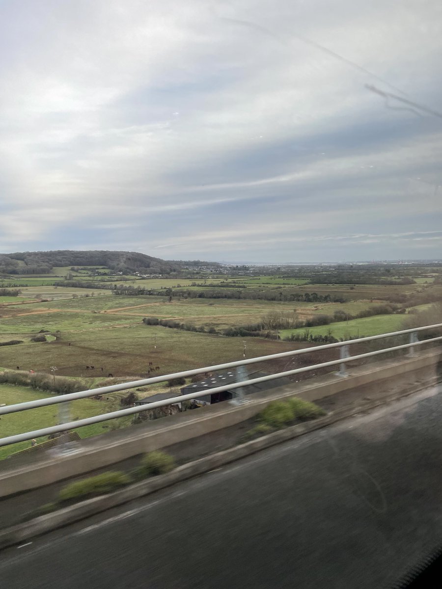 BoltenFritz's tweet photo. Well it’s happening. UK Nuffield conference. Only about 40 degrees difference in temperature. Crops are growing well with me away. Cowpea refuge for the cotton. Thanks team. https://t.co/Aj4FhwDIMj