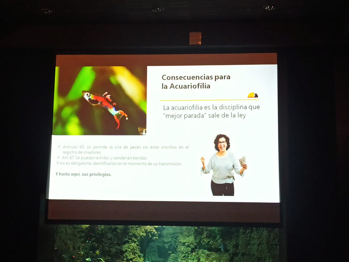 nuevoacuariozgz's tweet photo. ⬆️⬆️⬆️ Segundo día de las #JAEGA , Con la charla "Borrador de la Nueva Ley de Protección Animal, impartida por José María López Sánchez, SOHEVA/FAUNA. https://t.co/aIElVVmHn7