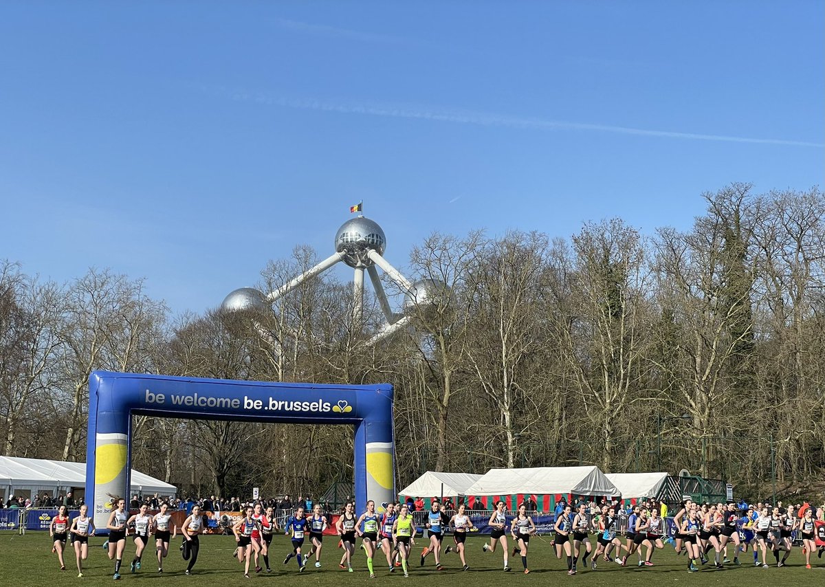 _beInteractive's tweet image. #vrtweer #laken