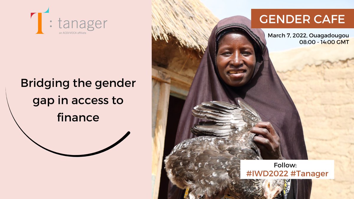 TOE Diro tweet media