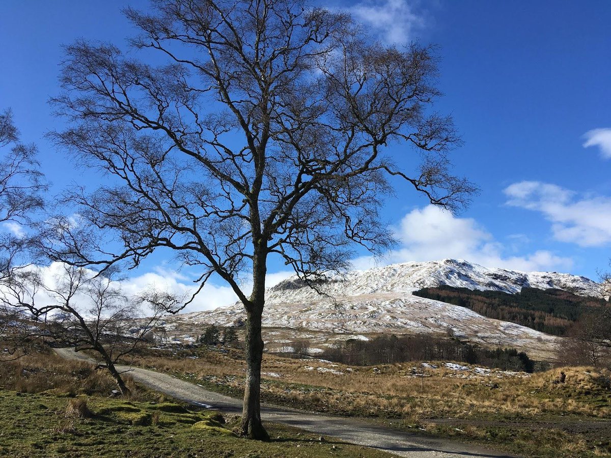 Counterflows's tweet photo. On the Sunday of the festival we present a small publishers fair in the @CCA_Glasgow foyer space, as well as installations/performances from Hannan Jones &amp; Shamica Ruddock and Ghost Tunes.

https://t.co/WybPlYAzEN https://t.co/DFP3eLpvwD