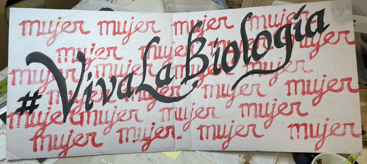 El otro día <a href="/unadeellas/">Una de ellas</a> se ofreció a hacer una pancarta para llevar a la manifestación con lo que yo quisiera y así estar de alguna forma con vosotras. Le dije que sí toda emocionada y sugerí #VivaLaBiología, que está en mi bio.
Nunca me imaginé que iba a hacer esta obra de arte.