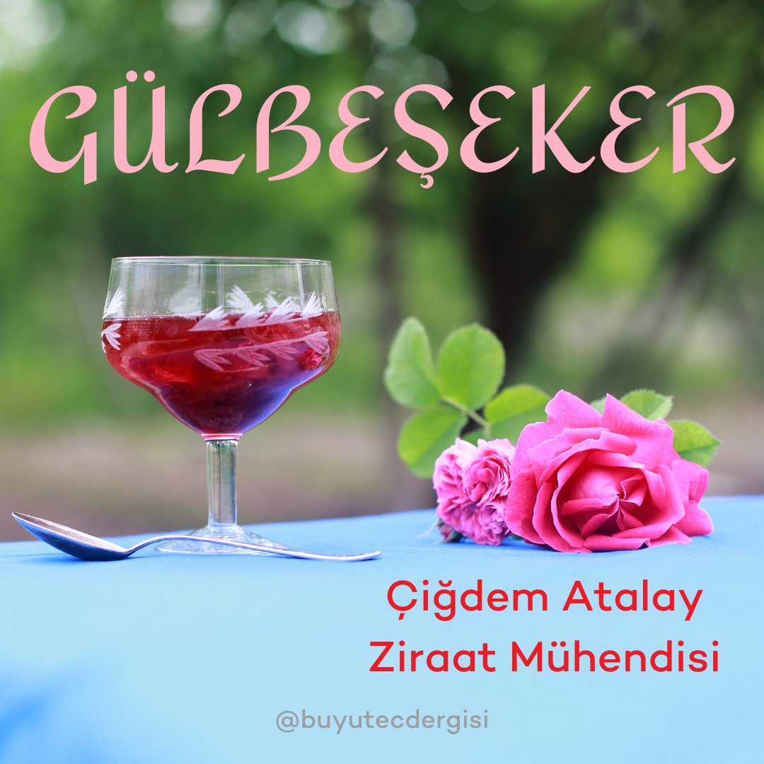 Ziraat Mühendisi Çiğdem Atalay Hanım'ın 
( <a href="/idemDemirAtala1/">Çiğdem Demir Atalay</a> ) kaleminden GÜLBEŞEKER..  Yazının tamamına ücretsiz ulaşmak için tıklayınız...
crabpublishing.com/buyutec/ 

<a href="/crabpublishing/">Crab Publishing</a> 
#buyutecdergisi #gıda #sağlık #gulbeseker