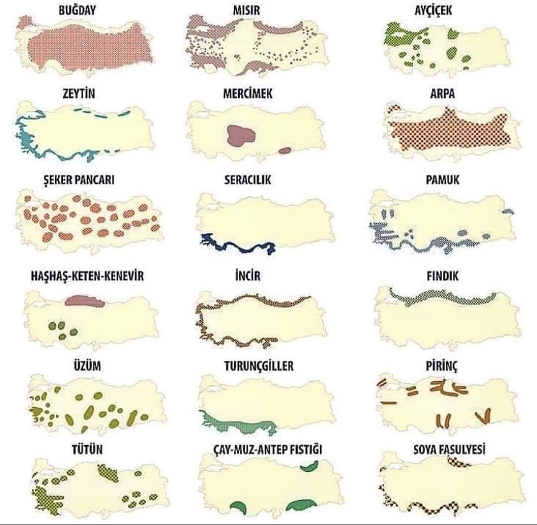 Tuba Emlek on Twitter "Dünyanın en güzel dağlarına, en bereketli