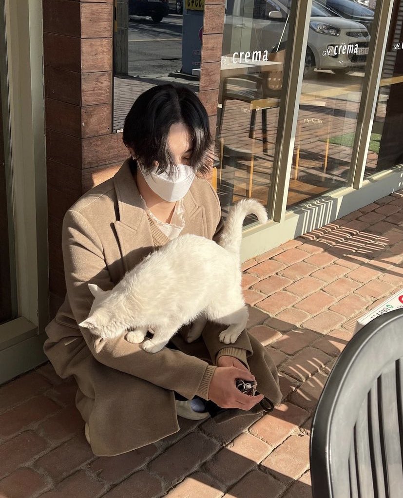 pepi_nim_'s tweet photo. 🌴แมวคือสิ่งที่เรียกว่ารักล่ะ…” 

ใจ
ฉัน… https://t.co/6ugT3I383Q
