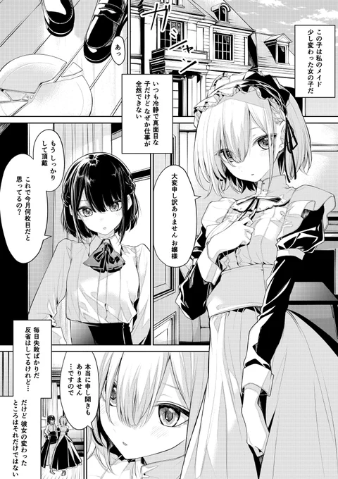 お仕置きされたいメイドさんとしたいお嬢様(*'-`) 