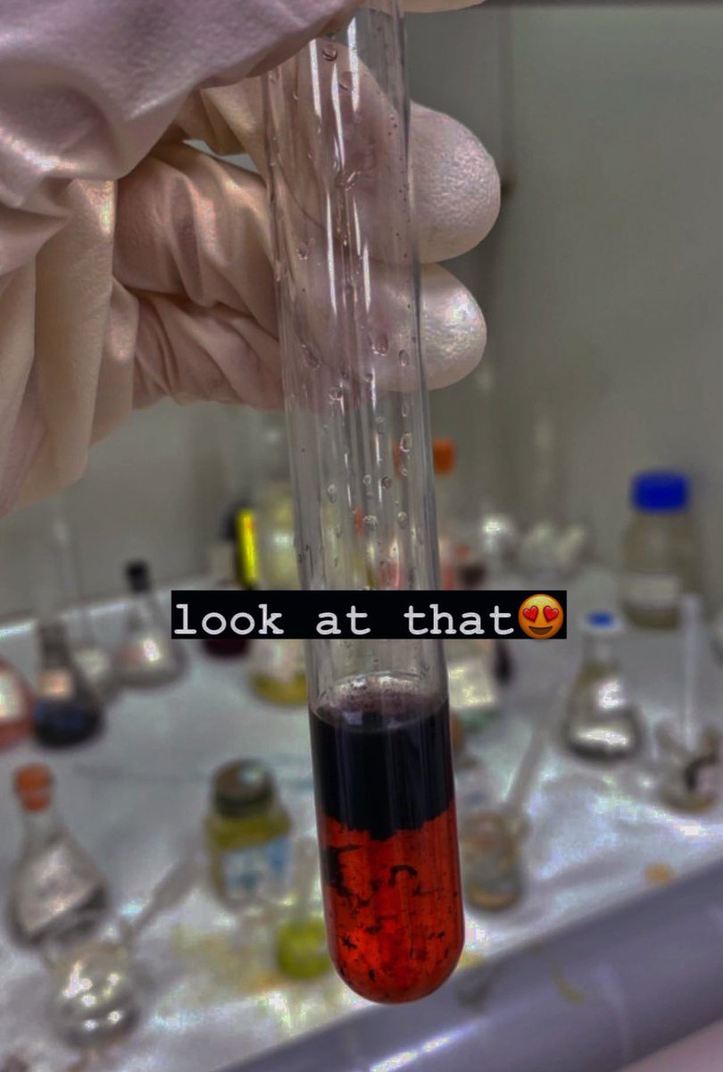ranadCrypto's tweet photo. a day in my life🧪💻 https://t.co/aGcN6Qvn5K