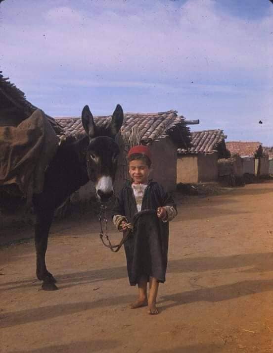 the_kabyle's tweet photo. Life in wartime Palestro, a lot of sufferings but unbroken and unabated. D lḥif d tmara yuran, asmi tella lḥerma https://t.co/xFTlA2EWjb