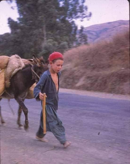 the_kabyle's tweet photo. Life in wartime Palestro, a lot of sufferings but unbroken and unabated. D lḥif d tmara yuran, asmi tella lḥerma https://t.co/xFTlA2EWjb