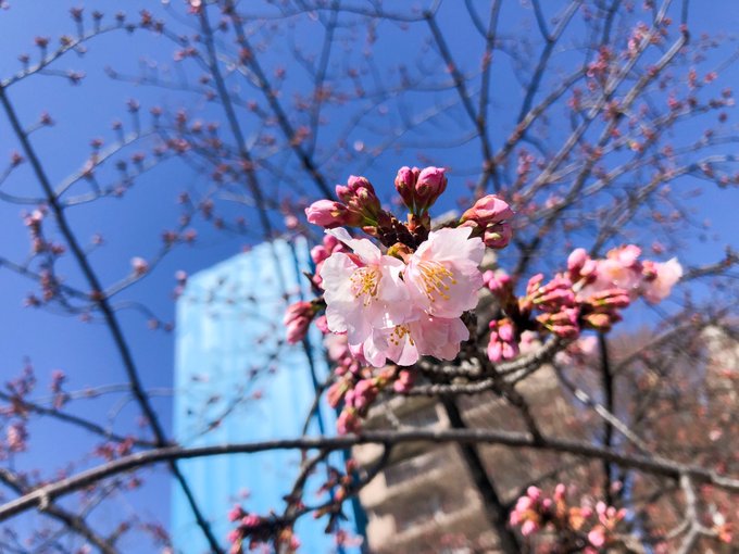 Twitterのコスプレ画像15