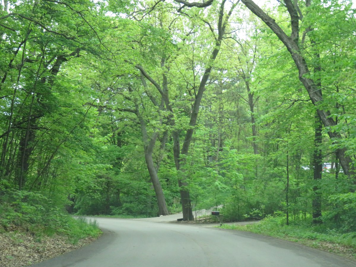 PLKlein_Author's tweet photo. "Not all storms come to disrupt your life, some come to clear your path." ~ #Unknown #SundayMotivation #ThinkBIGSundayWithMarsha #SundayThoughts #ThinkingOutLoud #QuickQuotes #Storms #Disrupt #ClearYourPath https://t.co/K2Vk3ipuml