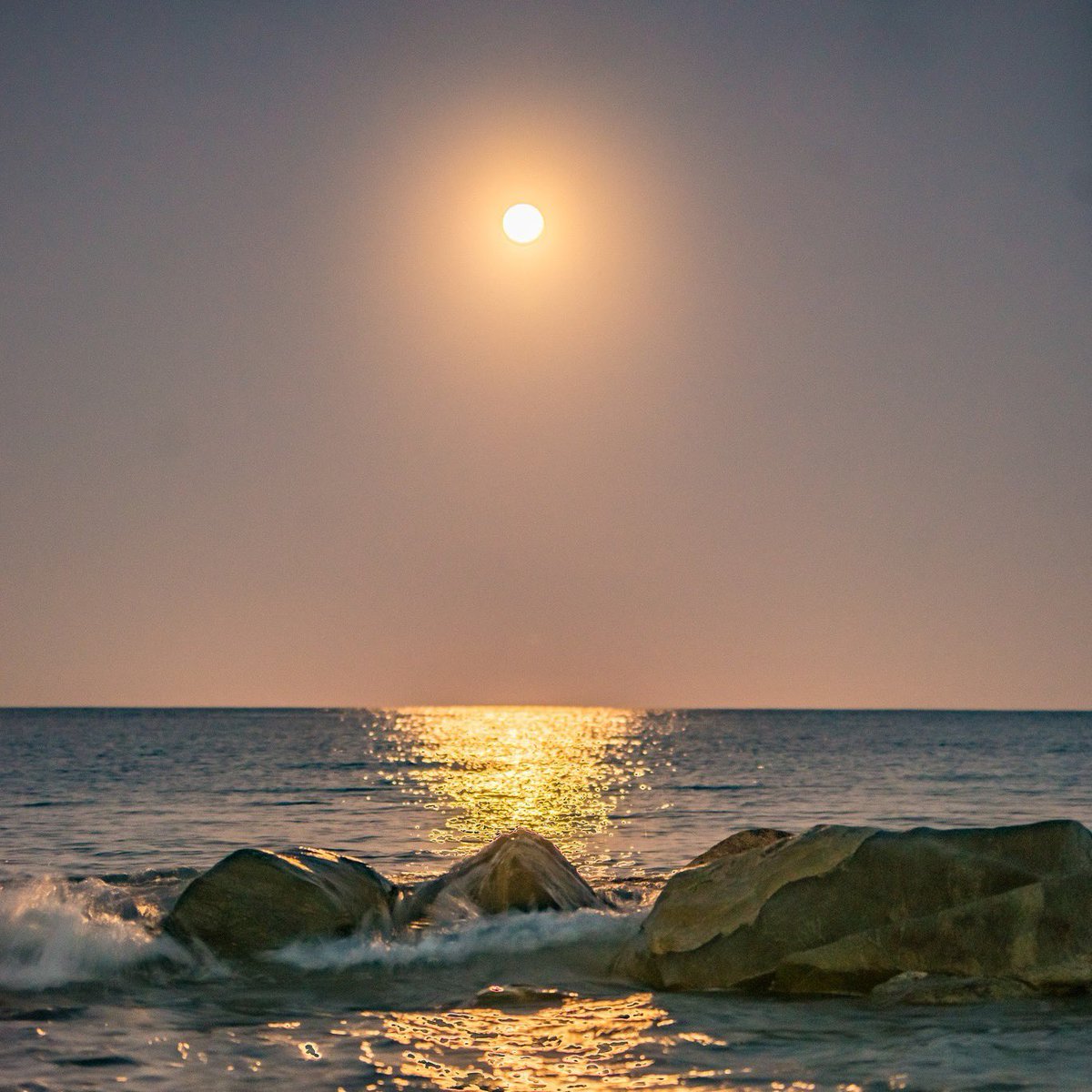 Nova Scotia Marathon tweet media