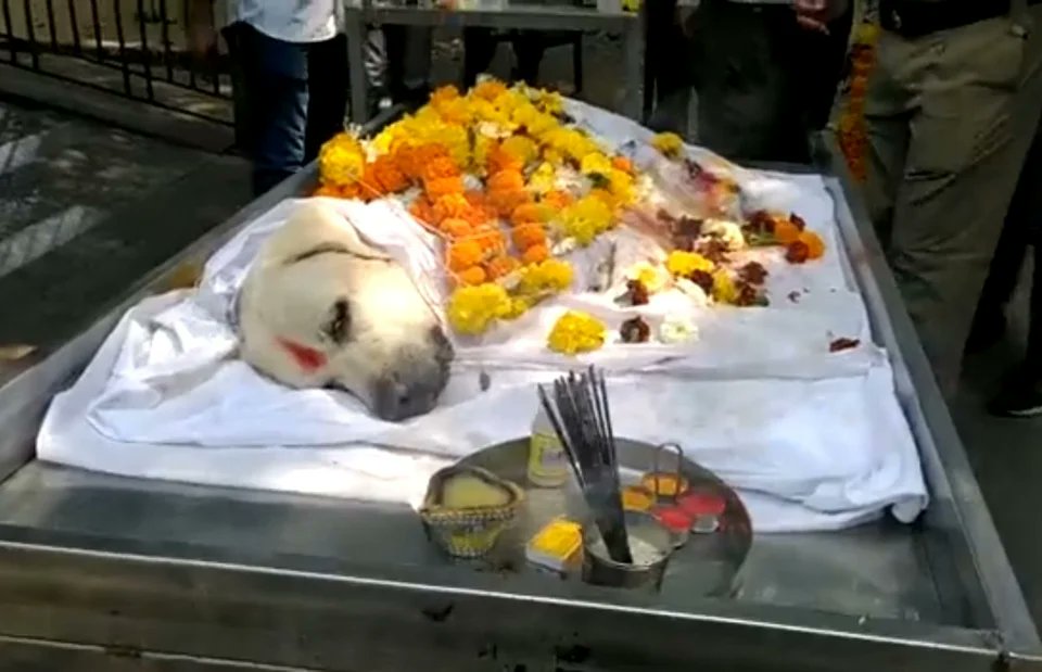 The Better India on Twitter: The Better India on Twitter: