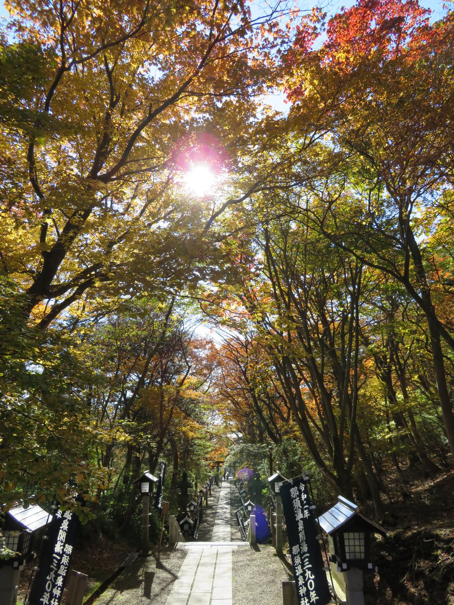 MiyukiAt's tweet photo. 那須温泉神社の参道の階段を登りきり、ふりむくと、この景色に出会えます。

ここから左手の方にすすめば、殺生石にむかう道に出ます。

この参道を下れば、約７分ほどで、みちのく民芸店さんに到着します。

#那須温泉神社　#殺生石　#みちのく民芸店　#古民家カフェ https://t.co/9mOtueVDRq