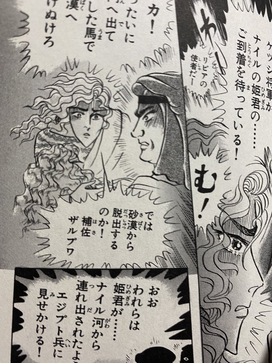 ハザス将軍は最初の任務も「わしが潜入してまで姫を手に入れたのになんなの!?」って顔してましたね。報われねえ。
コマじゃないんですが、補佐ザルプワからどのページからも「この任務だっっっっるいな〜〜」という雰囲気を感じるのは私だけでしょうか。