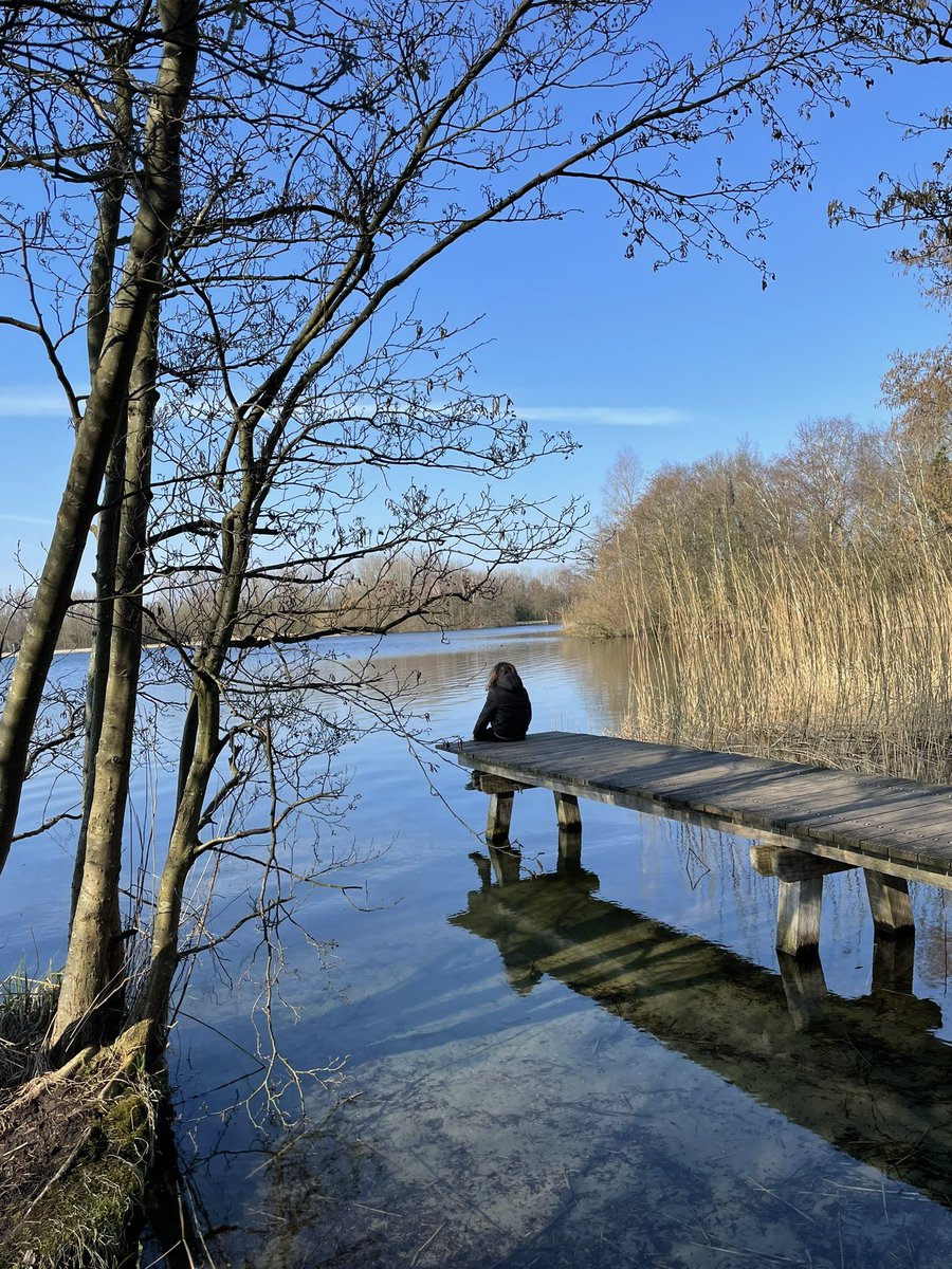 Franciska Koens tweet media