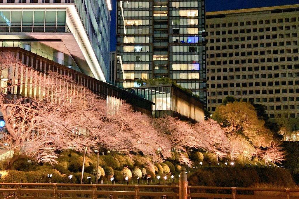 MomokaPhotos's tweet photo. 一足早い夜桜を楽しめました🌸
桜の木が櫻色にライトアップ🏙️
#キリトリセカイ
#ファインダー越しの私の世界
#写真好きな人と繋がりたい https://t.co/5zB4WjDyVu