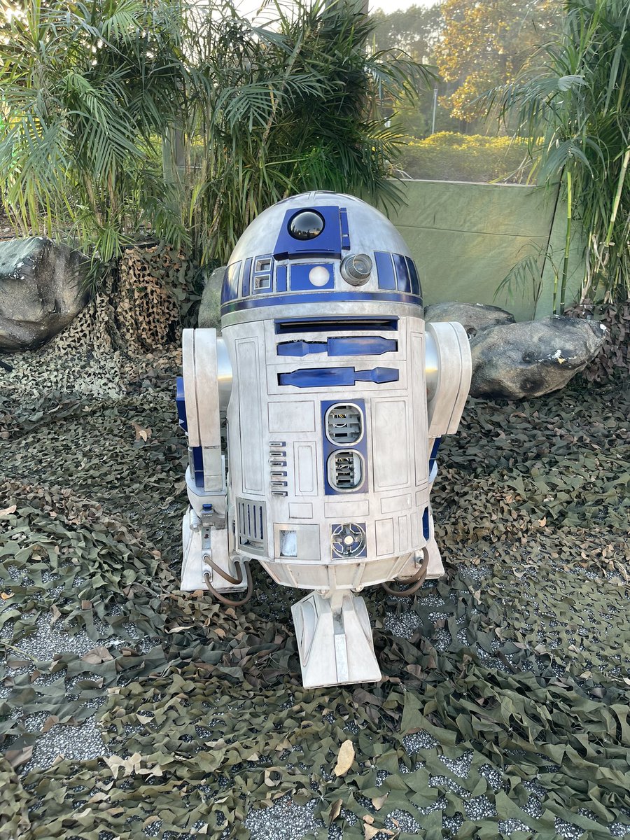 DougBigalke's tweet photo. @surliestgirl You wouldn’t believe how many people call this guy BB-8 when I have him out in public. https://t.co/2v9gV3y3o1