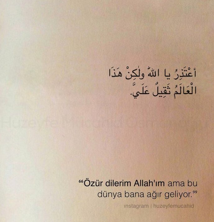 Zehra Öz (@zehraoz47) on Twitter photo 