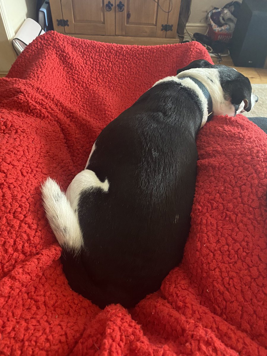 russell_terror's tweet photo. Please pray fir jack he’s very ill and things aren’t looking good 😢 https://t.co/u3o4Mh0B6u