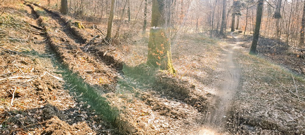 AWohlgroth's tweet photo. Ich nehme keinen Förster ernst, der behauptet, Biker schaden dem Wald. https://t.co/1sTjrKiIni