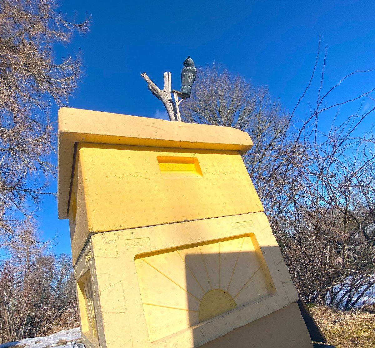 biodlaren's tweet photo. Bina och biodlaren har valt färg.
Elvis Uv vakar.
Allt stöd till Ukrainas modiga kamp 🇺🇦
#StandWithUkraine https://t.co/bw1tEuhDGz