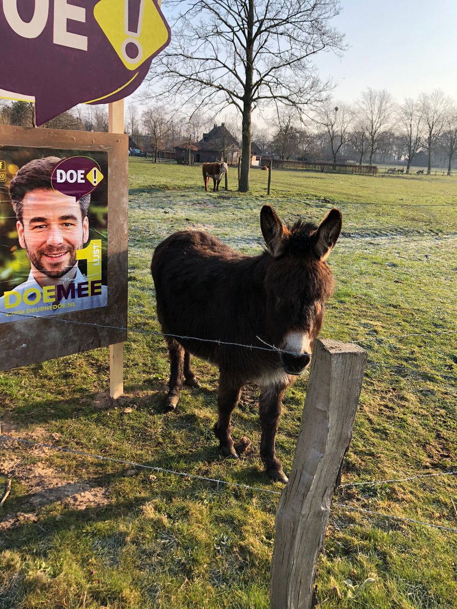 Te mooi om niet te delen! Deze foto van een inwoner uit #Deurne kregen we vanochtend binnen! Fijne zondag! #DOEMEE <a href="/KennisPolitiek/">Kennispunt Lokale Politieke Partijen</a>
