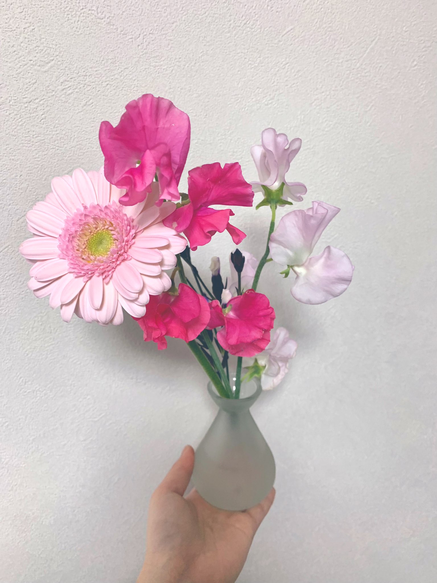 赤井いちご 今週のお花 やっぱガーベラかわいい スイートピーは香りが良き T Co Hyivzumrgl Twitter 赤井いちご 今週のお花 やっぱガーベラかわいい スイートピーは香りが良き T Co Hyivzumrgl Twitter