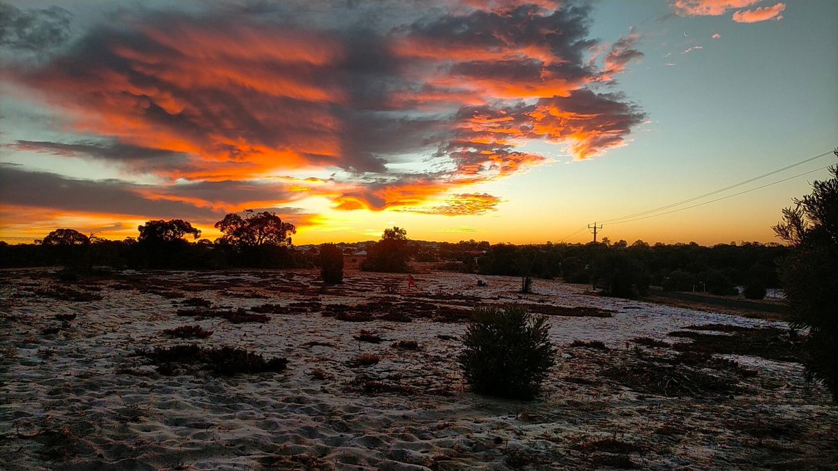 The sky was in full support of our teams as they descended into the bush for night training. Thankfully, the K9s search with their nose, not their eyes &amp; with a wonderful southerly breeze, teams flew through their areas. Thanks to Tom &amp; Chelsea for hiding in the bush for the dogs
